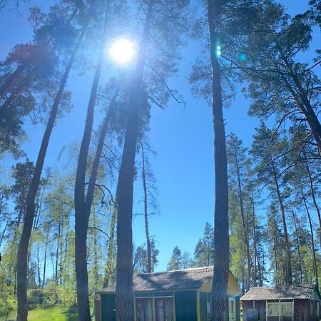 Baza Vidpochinku Energia Hotel Rudnya Peskovskaya Exterior foto