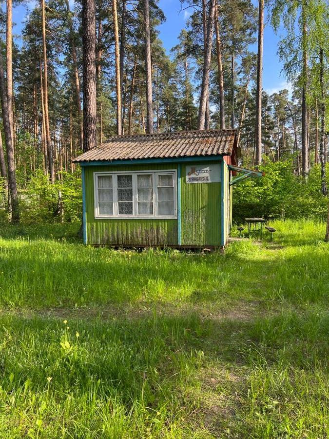 Baza Vidpochinku Energia Hotel Rudnya Peskovskaya Exterior foto